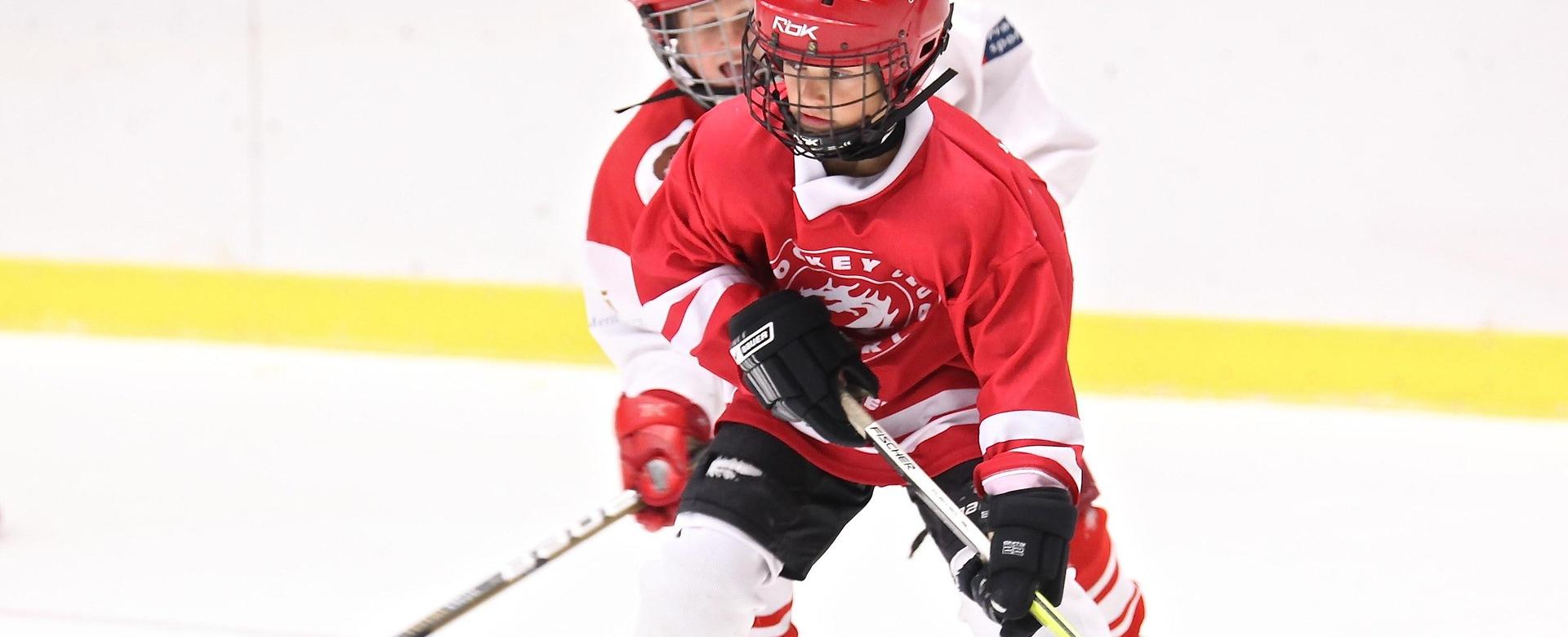 Boutique De Hockey 1 Boutique De Hockey -Boutique De Hockey hockey 2274221 1920